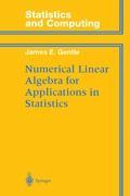Numerical Linear Algebra for Applications in Statistics