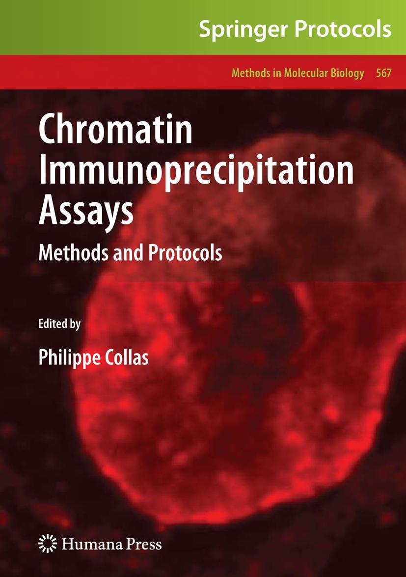 Chromatin Immunoprecipitation Assays