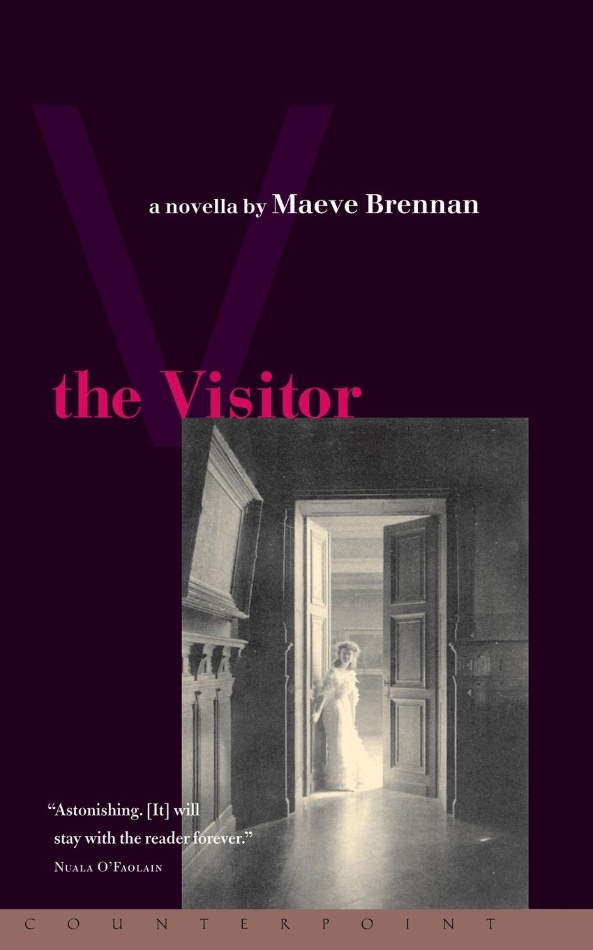 The Visitor