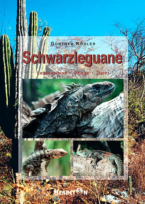 Schwarzleguane