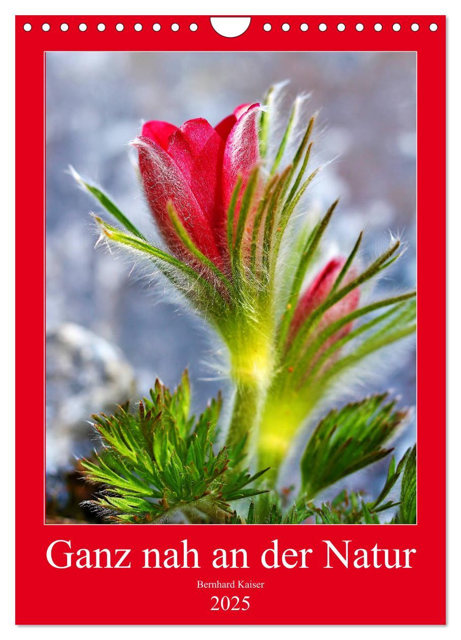 Ganz nah an der Natur (Wandkalender 2025 DIN A4 hoch), CALVENDO Monatskalender