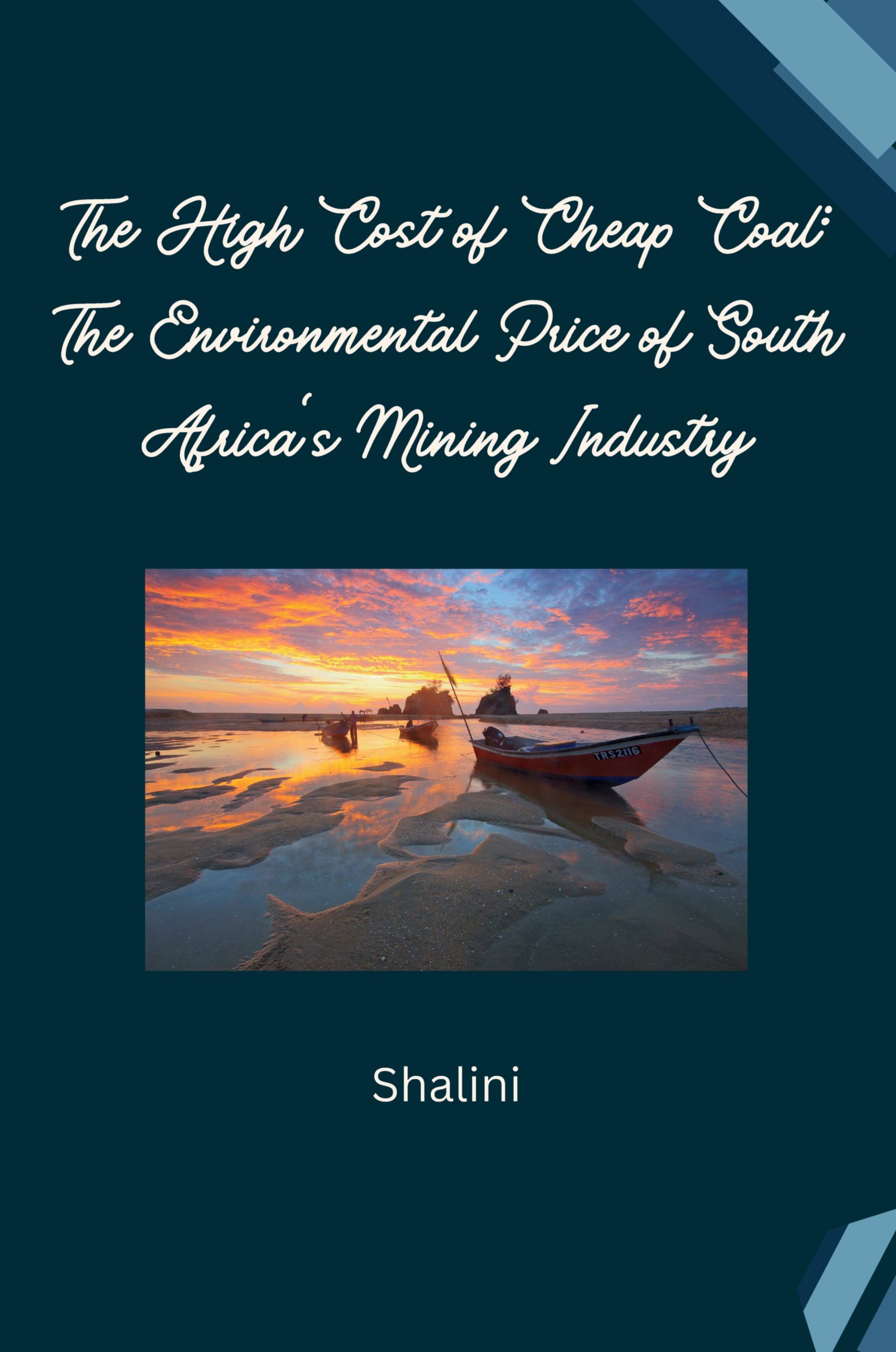 The High Cost of Cheap Coal: The Environmental Price of South Africa's Mining Industry