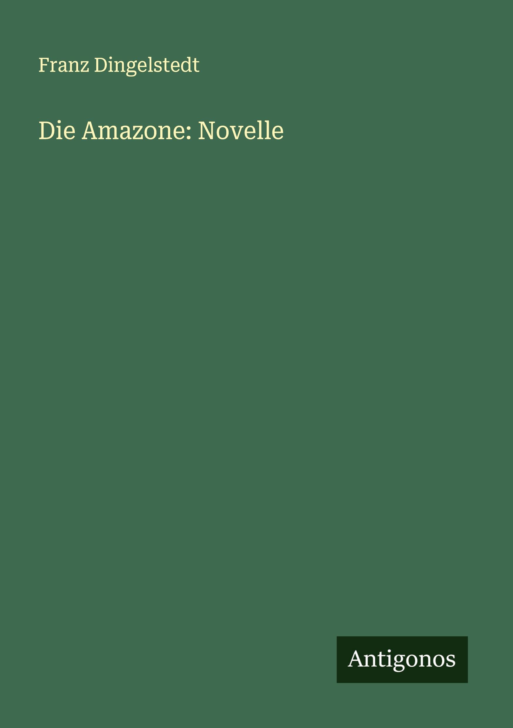 Die Amazone: Novelle