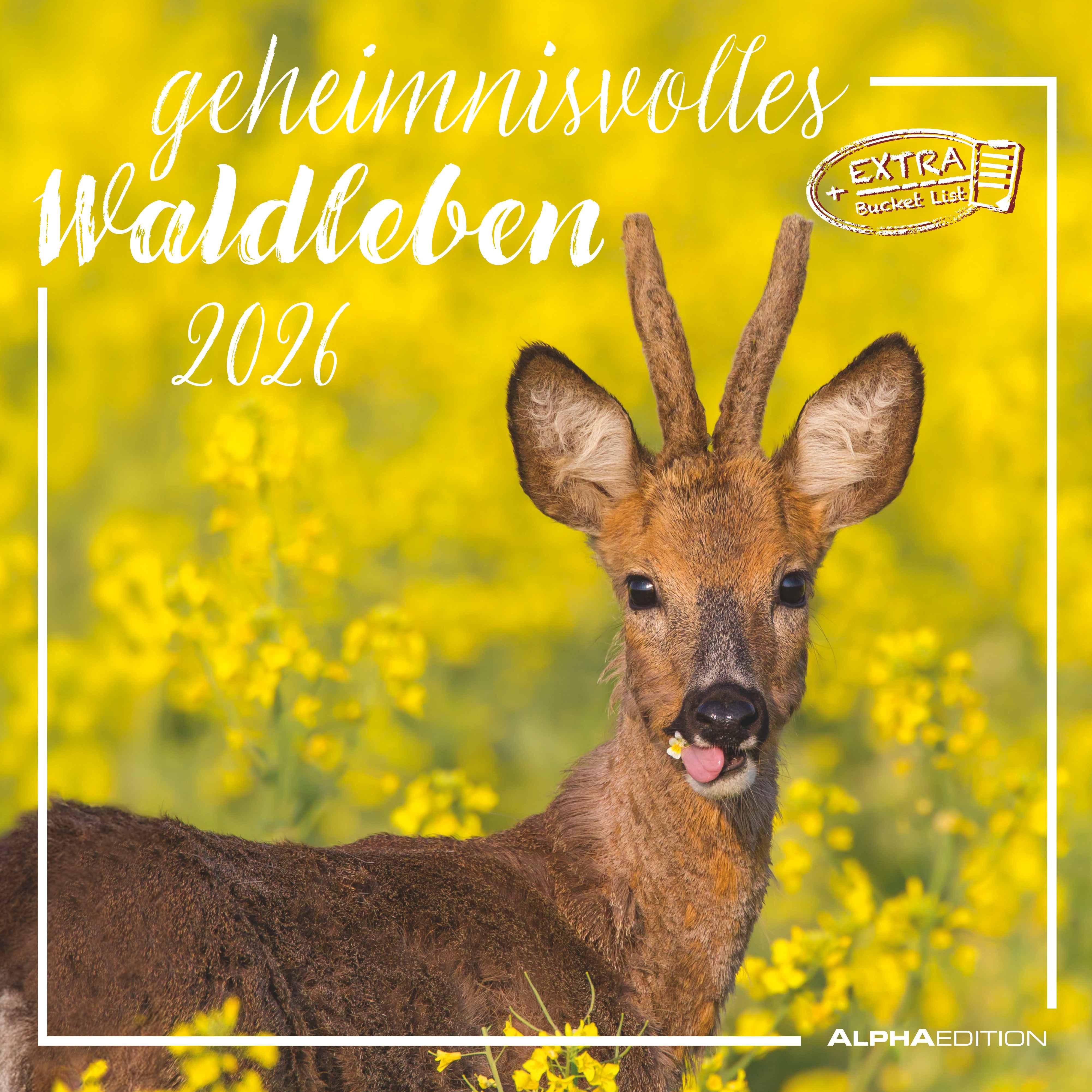 Geheimnisvolles Waldleben 2026 - Broschürenkalender 30x30 cm (30x60 geöffnet) - Kalender mit Platz für Notizen - Forest Animals - Bildkalender - Wandkalender