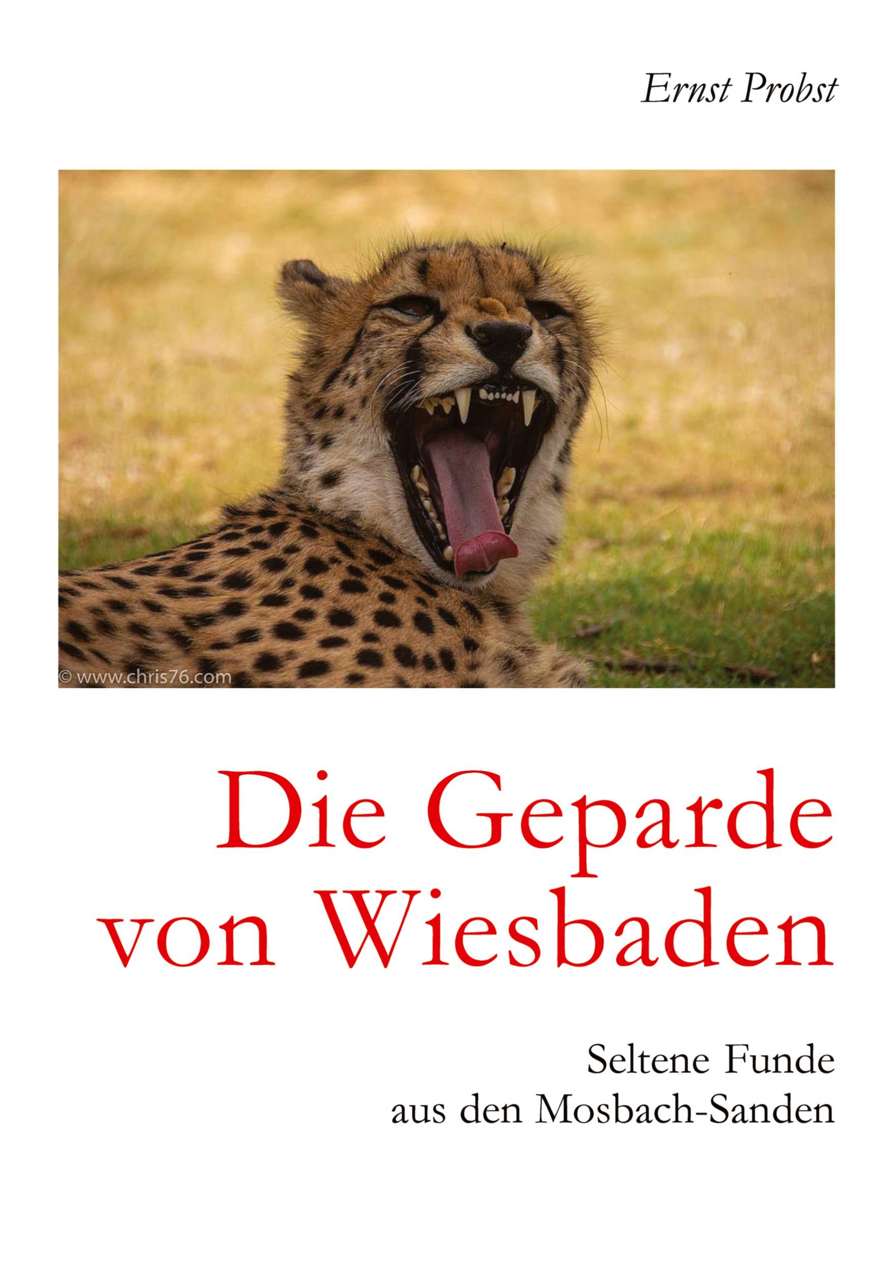 Die Geparde von Wiesbaden