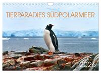 Tierparadies Südpolarmeer (Wandkalender 2026 DIN A4 quer), CALVENDO Monatskalender