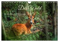 Der Wald - Ort der Ruhe und Besinnung (Wandkalender 2025 DIN A4 quer), CALVENDO Monatskalender