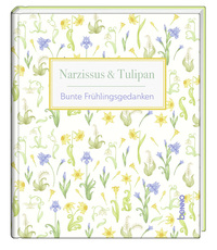Narzissus & Tulipan