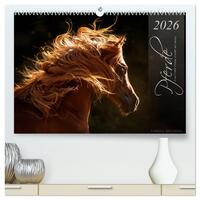 Pferde - Anmut und Stärke gepaart mit Magie (hochwertiger Premium Wandkalender 2026 DIN A2 quer), Kunstdruck in Hochglanz