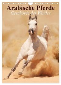 Arabische Pferde • Geschöpfe des Windes (Wandkalender 2026 DIN A4 hoch), CALVENDO Monatskalender