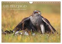 Die Beizjagd (Wandkalender 2025 DIN A4 quer), CALVENDO Monatskalender
