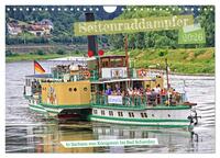 Seitenraddampfer – In Sachsen von Königstein bis Bad Schandau (Wandkalender 2026 DIN A4 quer), CALVENDO Monatskalender