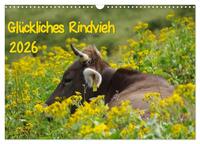 Glückliches Rindvieh 2026 (Wandkalender 2026 DIN A3 quer), CALVENDO Monatskalender