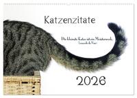 Katzenzitate 2026 (Wandkalender 2026 DIN A2 quer), CALVENDO Monatskalender