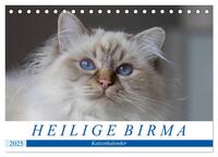 Vorderes Coverbild Heilige Birma Katzenkalender (Tischkalender 2025 DIN A5 quer), CALVENDO Monatskalender