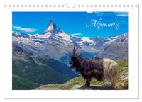 Alpenartig (Wandkalender 2026 DIN A4 quer), CALVENDO Monatskalender