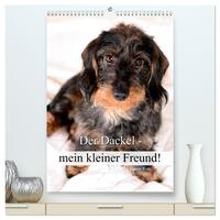 Der Dackel - mein kleiner Freund (hochwertiger Premium Wandkalender 2026 DIN A2 hoch), Kunstdruck in Hochglanz