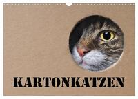Vorderes Coverbild Karton Katzen (Wandkalender 2026 DIN A3 quer), CALVENDO Monatskalender