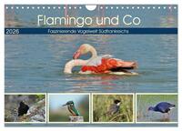 Flamingo und Co - Faszinierende Vogelwelt Südfrankreichs (Wandkalender 2026 DIN A4 quer), CALVENDO Monatskalender