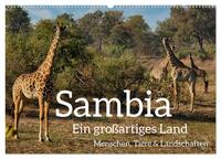 Sambia - ein großartiges Land (Wandkalender 2026 DIN A2 quer), CALVENDO Monatskalender