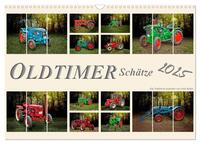 Oldtimer Schätze. Ein Traktoren-Kalender (Wandkalender 2025 DIN A3 quer), CALVENDO Monatskalender