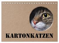 Vorderes Coverbild Karton Katzen (Tischkalender 2026 DIN A5 quer), CALVENDO Monatskalender