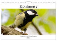 Kohlmeise - Fotografiert von Ostfriesenfotografie (Wandkalender 2025 DIN A4 quer), CALVENDO Monatskalender