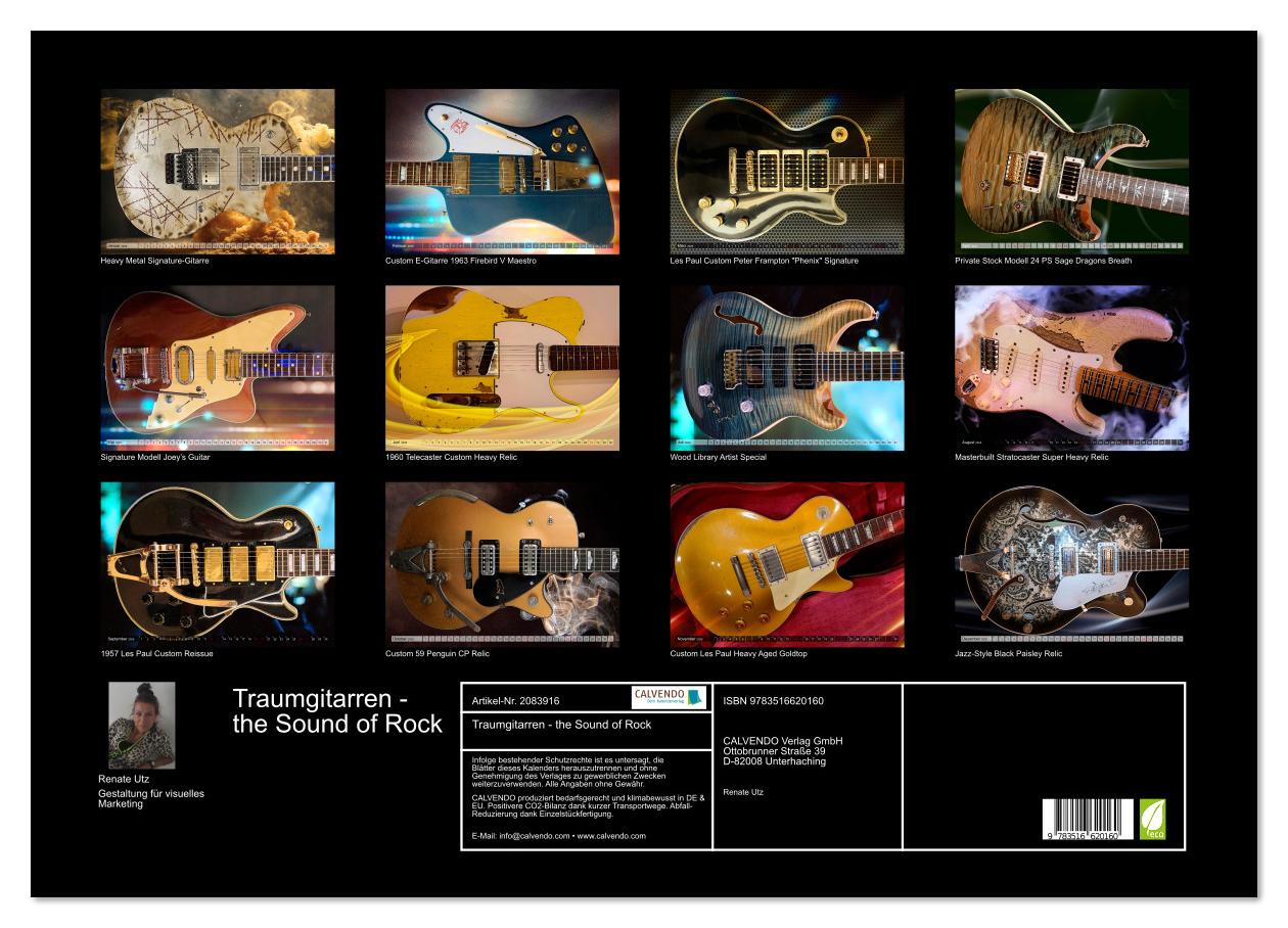 Beispielinhalt (Bild) Traumgitarren - the Sound of Rock (Wandkalender 2026 DIN A2 quer), CALVENDO Monatskalender