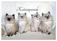 Katzenparade (Wandkalender 2025 DIN A3 quer), CALVENDO Monatskalender