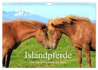 Islandpferde - Die tierischen Stars der Insel (Wandkalender 2025 DIN A4 quer), CALVENDO Monatskalender