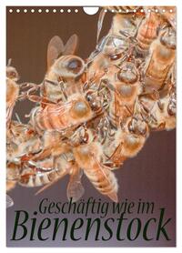 Geschäftig wie im Bienenstock (Wandkalender 2026 DIN A4 hoch), CALVENDO Monatskalender