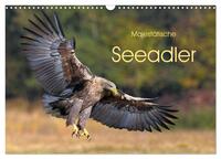 Majestätische Seeadler (Wandkalender 2025 DIN A3 quer), CALVENDO Monatskalender