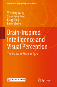 Brain-Inspired Intelligence and Visual Perception
