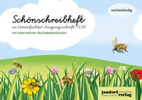 Schönschreibheft in VA (mit alternativen Buchstabenformen)