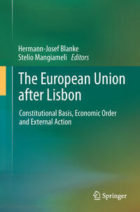 The European Union after Lisbon