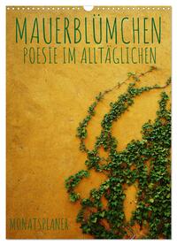 Vorderes Coverbild Mauerblümchen - Poesie im Alltäglichen als Monatsplaner (Wandkalender 2025 DIN A3 hoch), CALVENDO Monatskalender