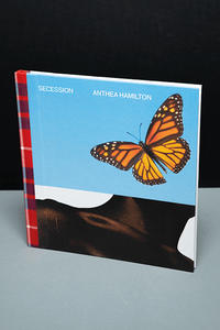 Anthea Hamilton