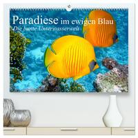 Paradiese im ewigen Blau. Die bunte Unterwasserwelt (hochwertiger Premium Wandkalender 2025 DIN A2 quer), Kunstdruck in Hochglanz