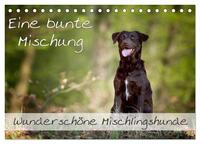 Eine bunte Mischung - wunderschöne Mischlingshunde / Geburtstagskalender (Tischkalender 2025 DIN A5 quer), CALVENDO Monatskalender