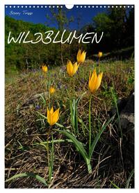WILDBLUMEN (Wandkalender 2026 DIN A3 hoch), CALVENDO Monatskalender