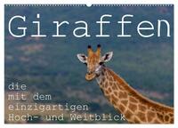 Giraffen - Tiere mit dem einzigartigen Hoch- und Weitblick (Wandkalender 2025 DIN A2 quer), CALVENDO Monatskalender