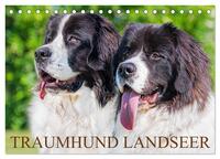 Traumhund Landseer (Tischkalender 2025 DIN A5 quer), CALVENDO Monatskalender