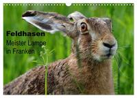 Feldhasen - Meister Lampe in Franken (Wandkalender 2026 DIN A3 quer), CALVENDO Monatskalender