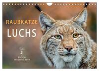 Raubkatze Luchs (Wandkalender 2025 DIN A4 quer), CALVENDO Monatskalender