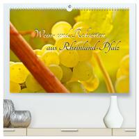 Wein- und Rebsorten aus Rheinland-Pfalz (hochwertiger Premium Wandkalender 2026 DIN A2 quer), Kunstdruck in Hochglanz