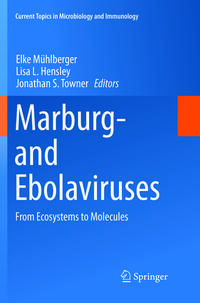 Marburg- and Ebolaviruses