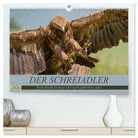 Der Schreiadler (Clanga pomarina) - Deutschands kleinster und stark gefährdeter Adler. (hochwertiger Premium Wandkalender 2026 DIN A2 quer), Kunstdruck in Hochglanz