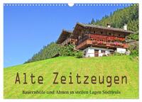 Alte Zeitzeugen (Wandkalender 2025 DIN A3 quer), CALVENDO Monatskalender