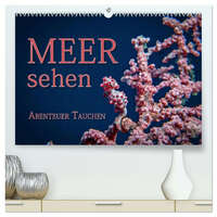 Meer sehen - Abenteuer Tauchen (hochwertiger Premium Wandkalender 2026 DIN A2 quer), Kunstdruck in Hochglanz