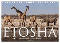 Vorderes Coverbild ETOSHA – Namibia Highlights (Wandkalender 2025 DIN A4 quer), CALVENDO Monatskalender